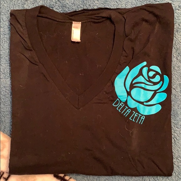Delta Zeta Sorority American Apparel V-neck, S - Picture 1 of 1